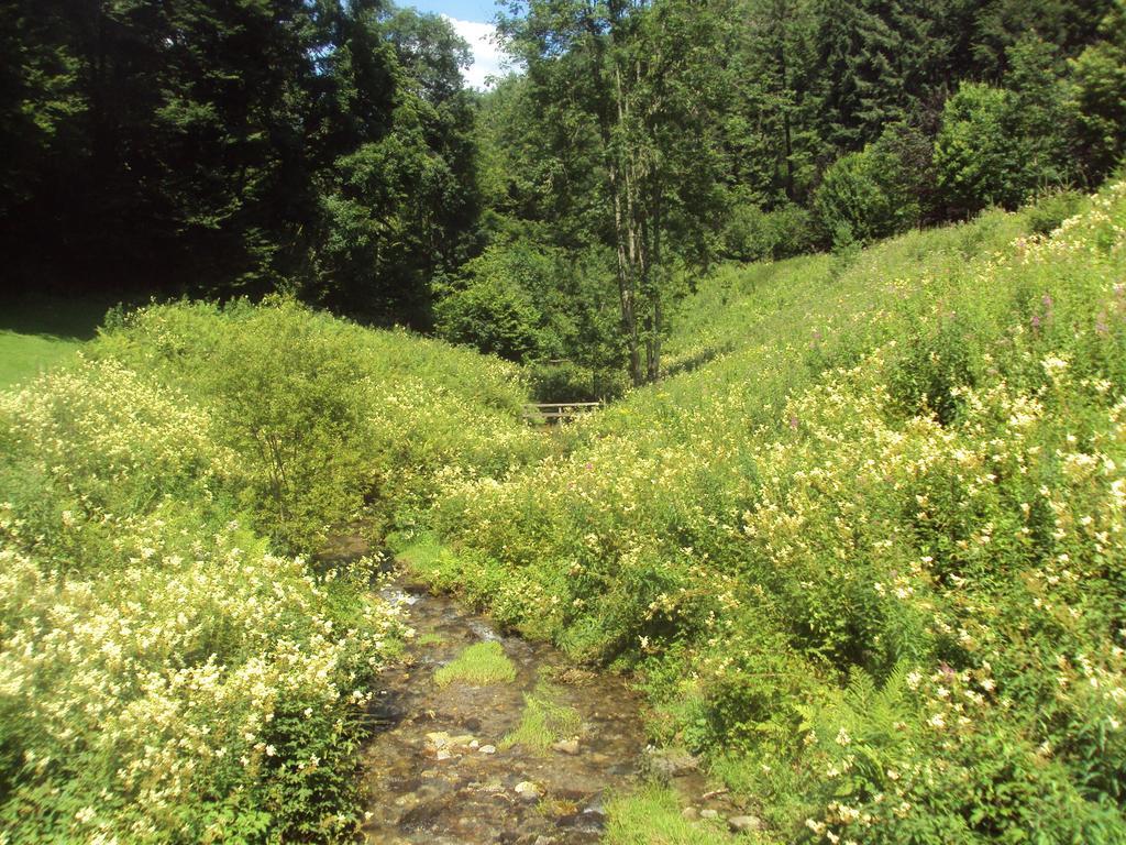Le Vieux Moulin Bohan 外观 照片