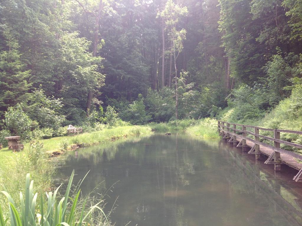 Le Vieux Moulin Bohan 外观 照片